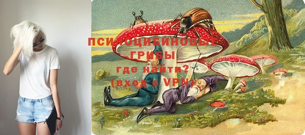 таблы Алексин