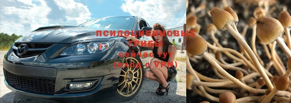 таблы Алексин