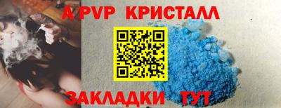 apvp Тверь