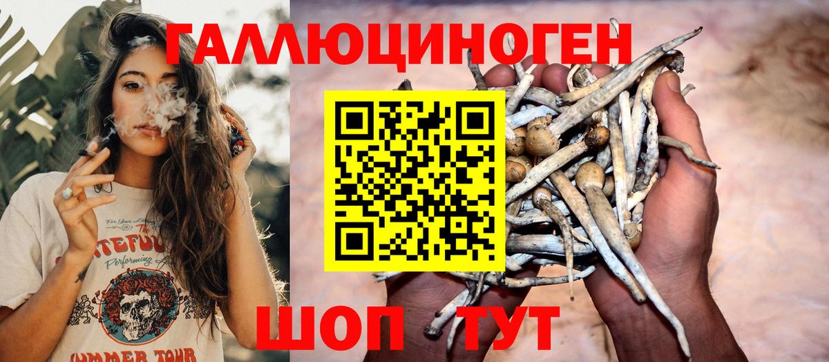 Киреевск  Галлюциногенные грибы Cubensis  купить  сайты  Вход с VPN 