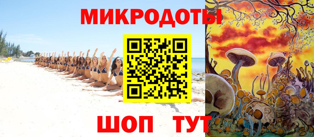 Псилоцибиновые грибы Psilocybe Киреевск